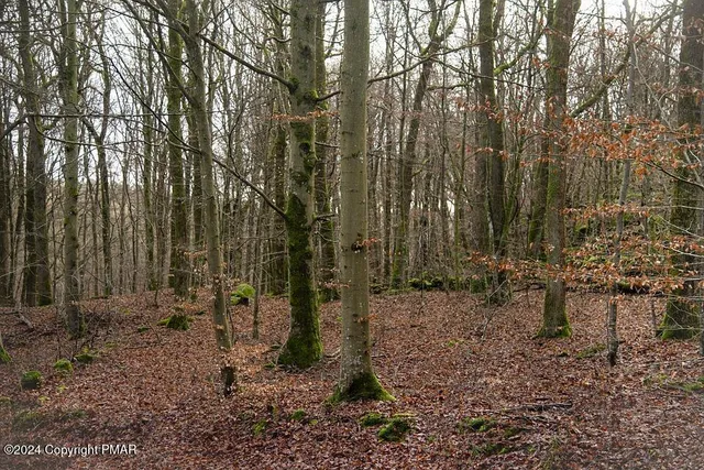 $11,000 | 0 Pine Creek Road, Hawley, PA 18428