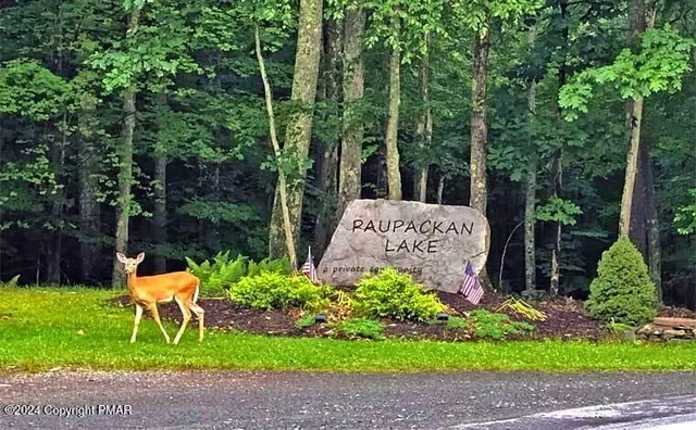 $11,000 | 0 Pine Creek Road, Hawley, PA 18428