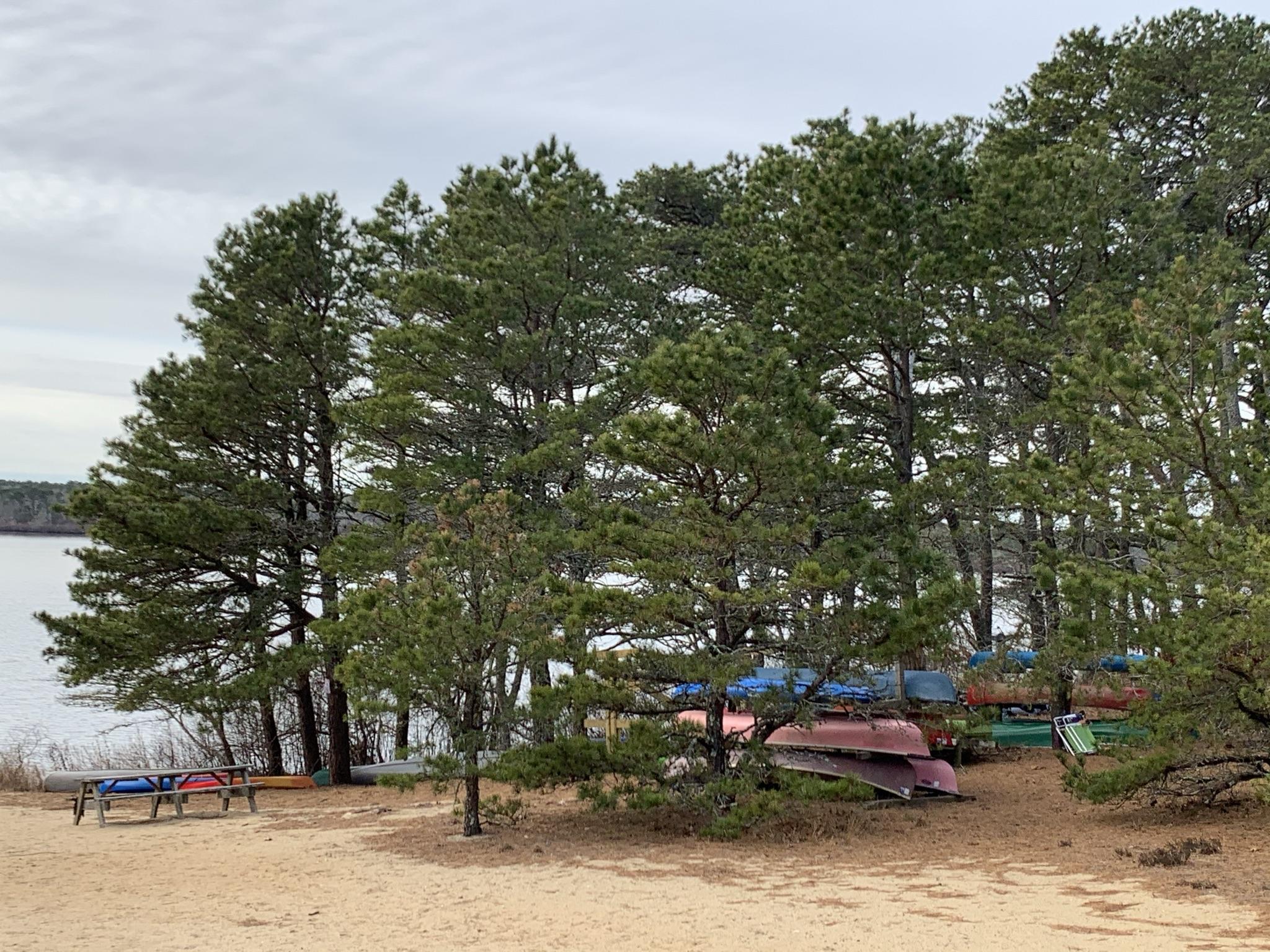 0 Brook Trail Road Brewster, MA 02631 - Photo 6 of 19 Seymour Pond2