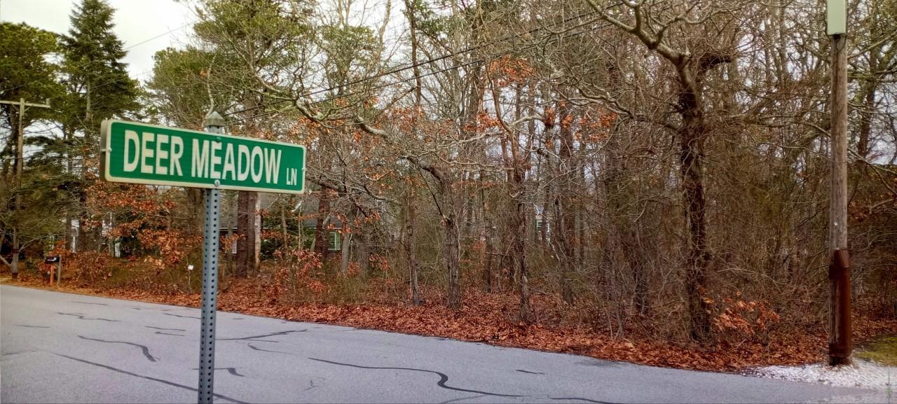 0 Brook Trail Road Brewster, MA 02631 - Photo 8 of 19 Brook Trail Deer Meadow