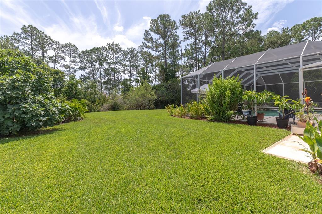 39 Wellstream Lane Palm Coast, FL 32164 - Photo 52 of 62