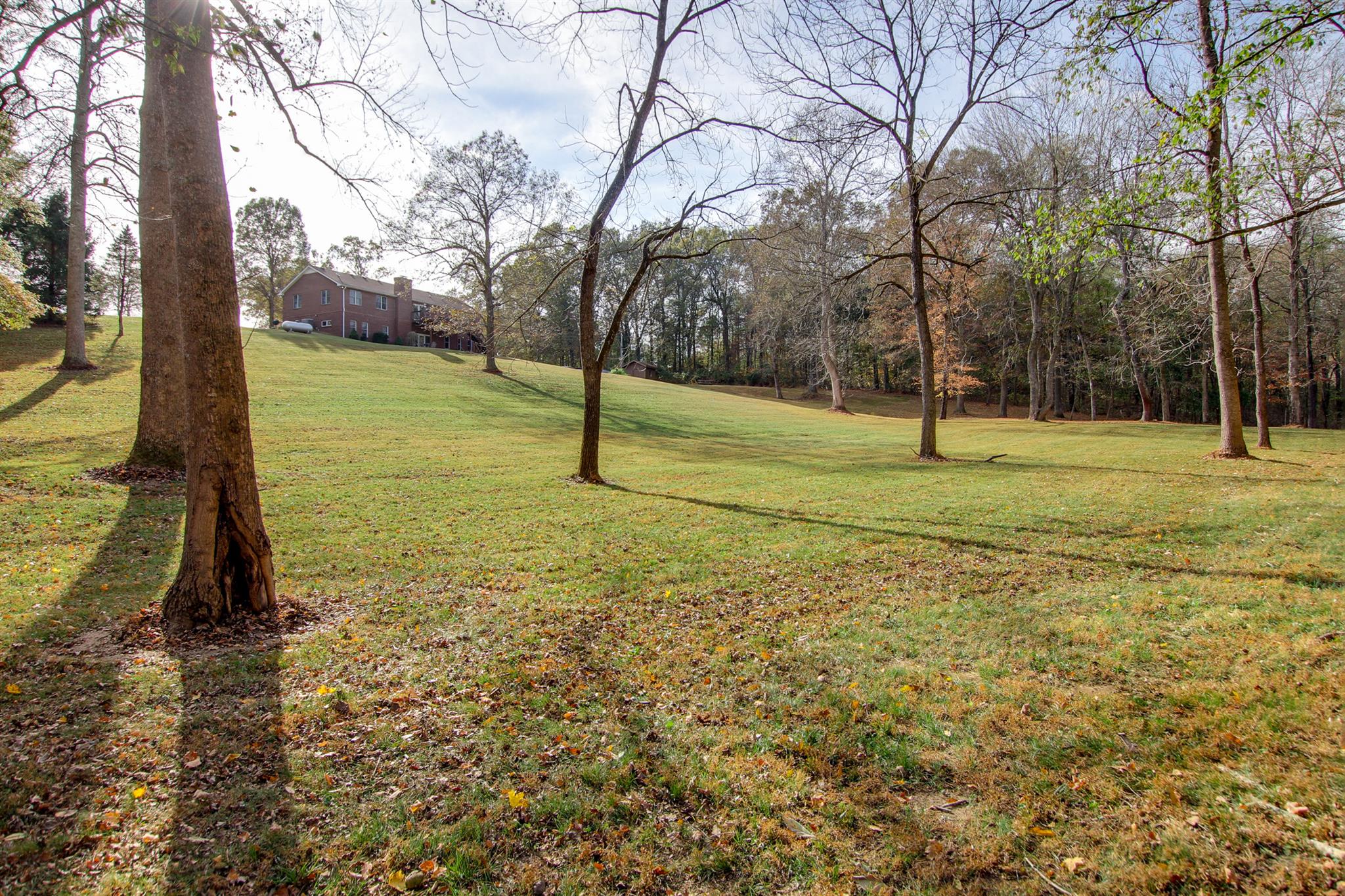 3713 Edd Ross Road Cedar Hill, TN 37032 - Photo 26 of 30 Gallery Image 26
