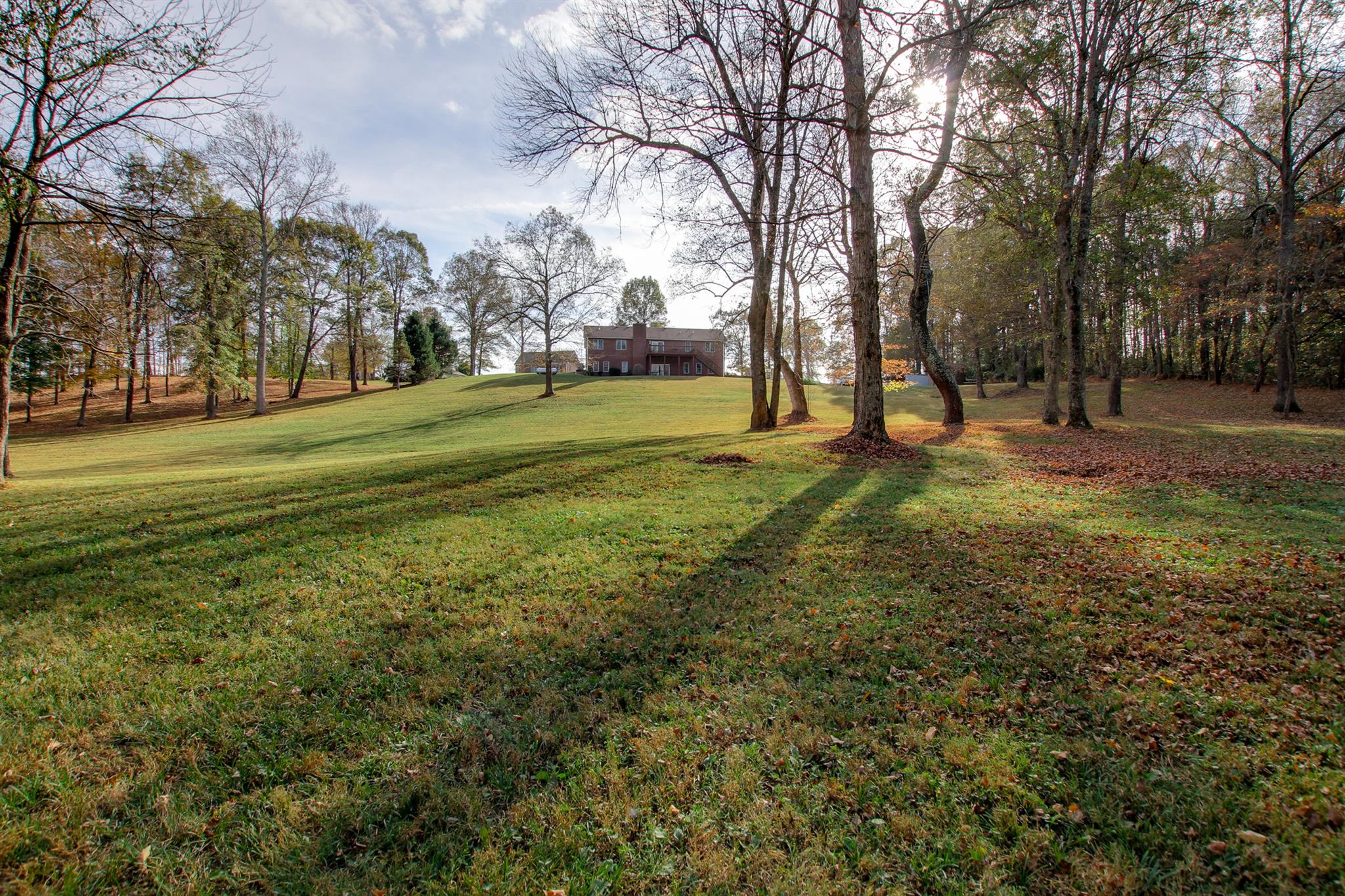 3713 Edd Ross Road Cedar Hill, TN 37032 - Photo 27 of 30 Gallery Image 27