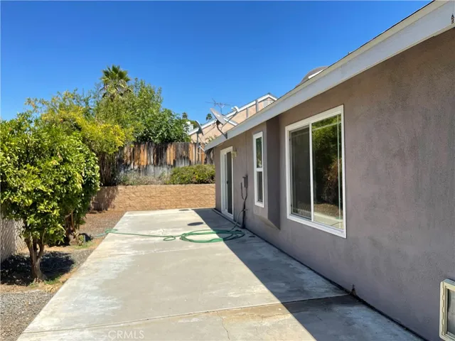 a view of backyard with large trees and plants
