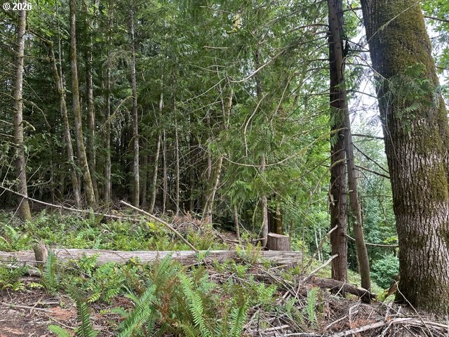 H Street Vernonia, OR 97064 - Photo 10 of 21