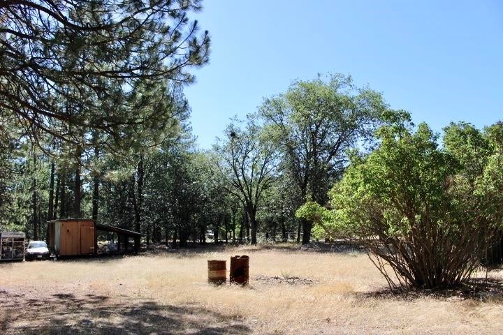 101 Esther Warren Road Etna, CA 96027 - Photo 13 of 17 Gallery Image 13