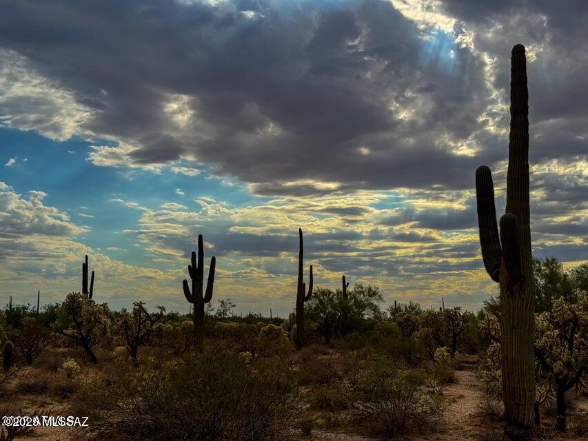 0 North Hohokam Road Florence, AZ 85132 - Photo 13 of 24 Gallery Image 13