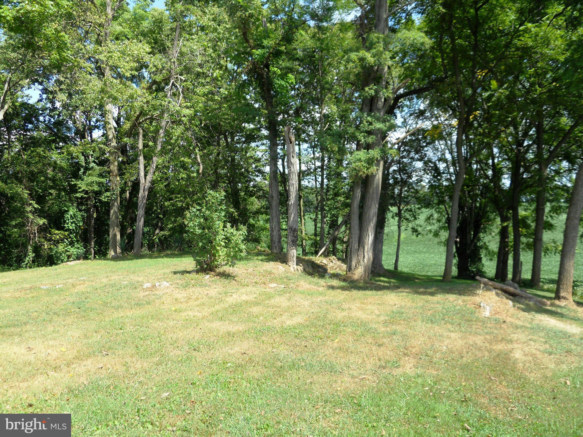 11050 Ashton Road Clear Spring, MD 21722 - Photo 18 of 30 Exterior (Rear)
