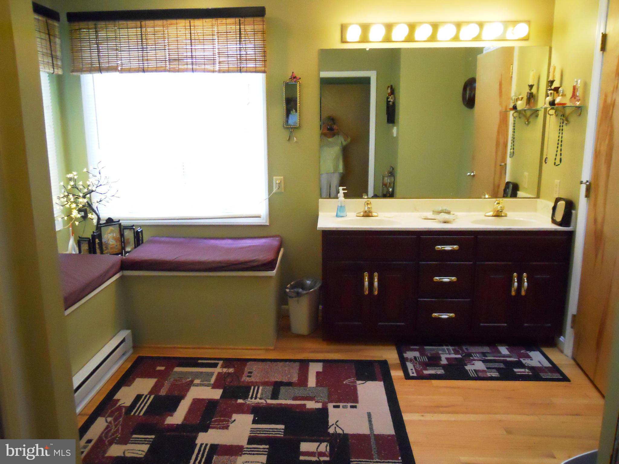 11050 Ashton Road Clear Spring, MD 21722 - Photo 27 of 30 Bath (Master)