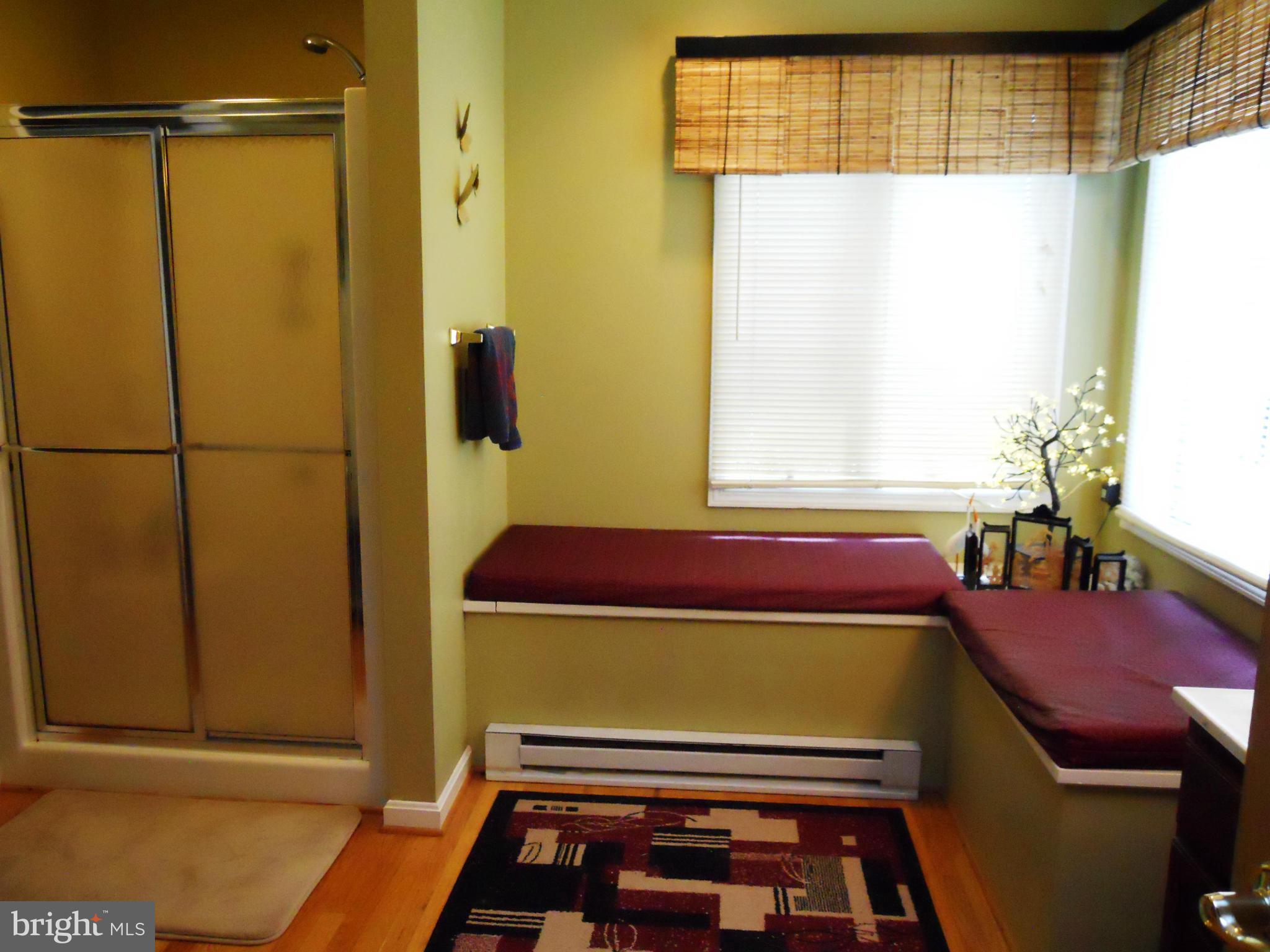 11050 Ashton Road Clear Spring, MD 21722 - Photo 28 of 30 Bath (Master)
