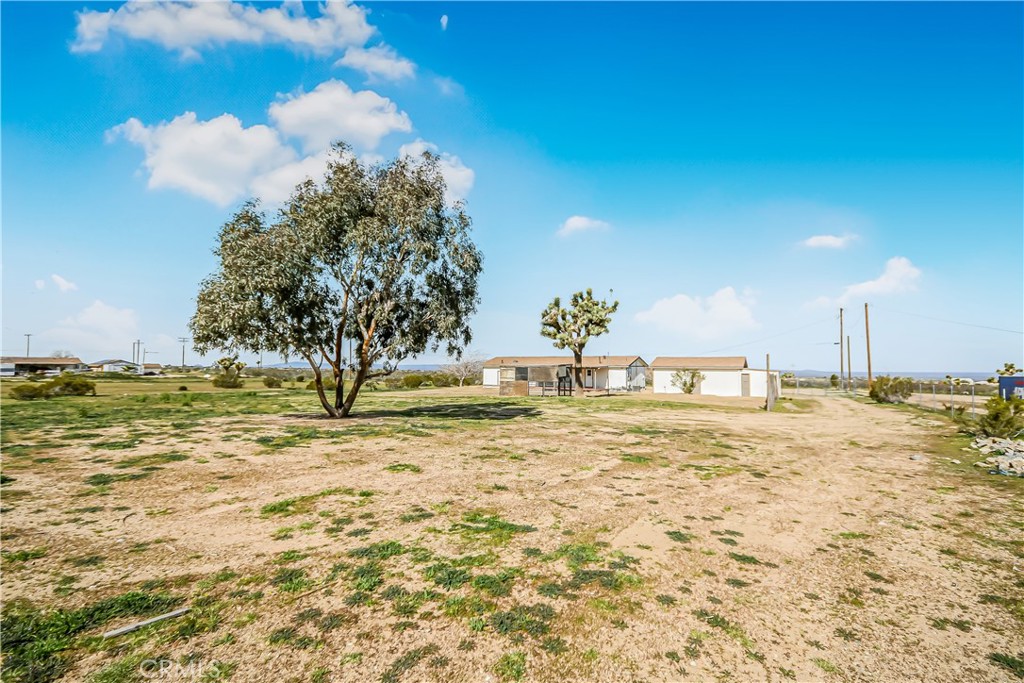 7773 Sequoia Road Phelan, CA 92371 - Photo 24 of 32 a view of a yard with an ocean