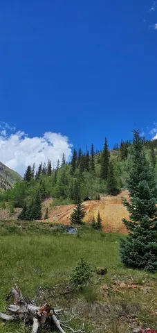 a view of a yard with wooden fence
