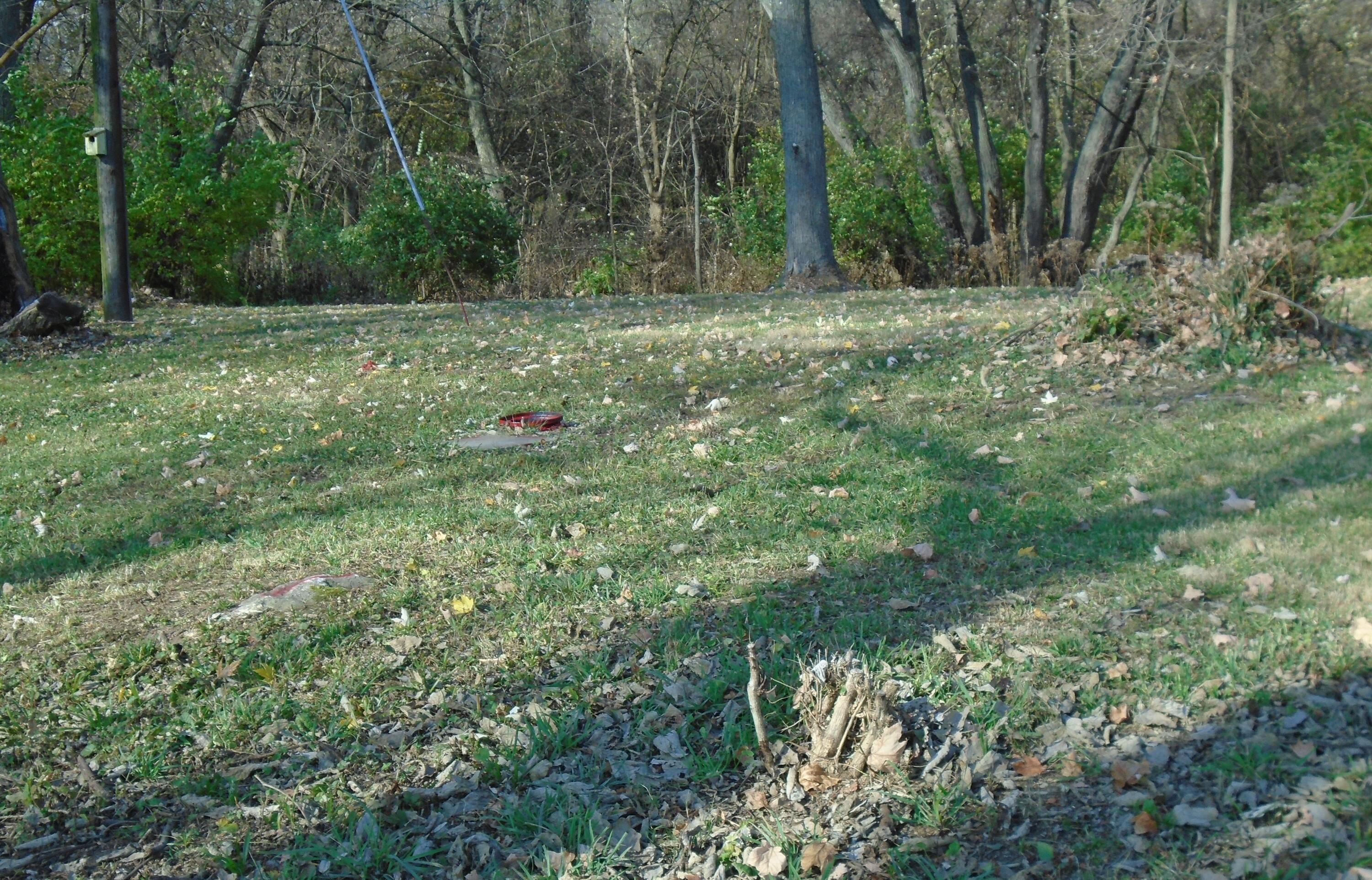 4677 Bixby Road Groveport, OH 43125 - Photo 22 of 22 MLS Yard other Bixby