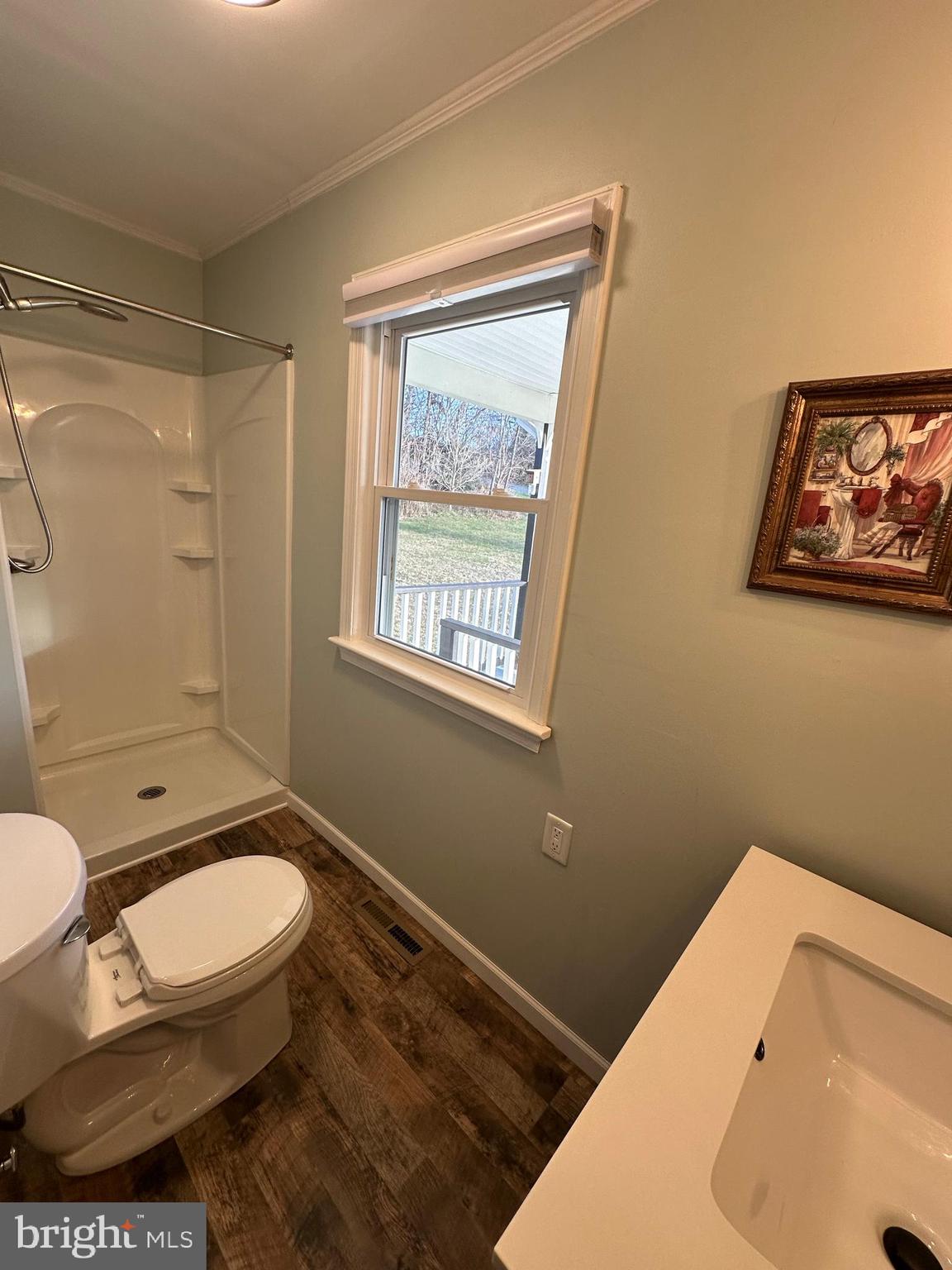 650 Honeyville Road Stanley, VA 22851 - Photo 26 of 27 a bathroom with a toilet sink and shower