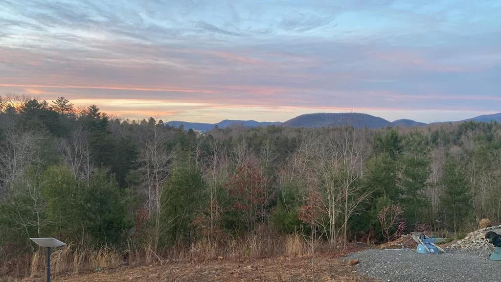 128 Pioneer Ests Road Murphy, NC 28906 - Photo 25 of 28