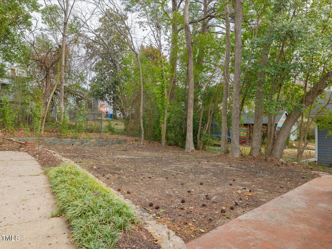 611 Dunbar Street Durham, NC 27701 - Photo 17 of 28 a view of a yard with plants and trees