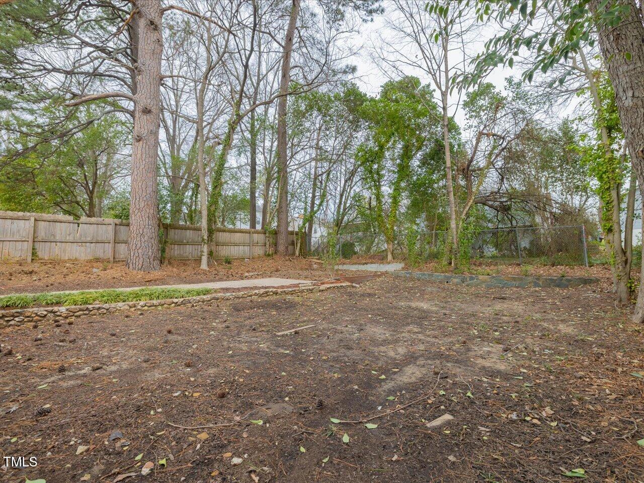 611 Dunbar Street Durham, NC 27701 - Photo 18 of 28 a view of outdoor space with trees