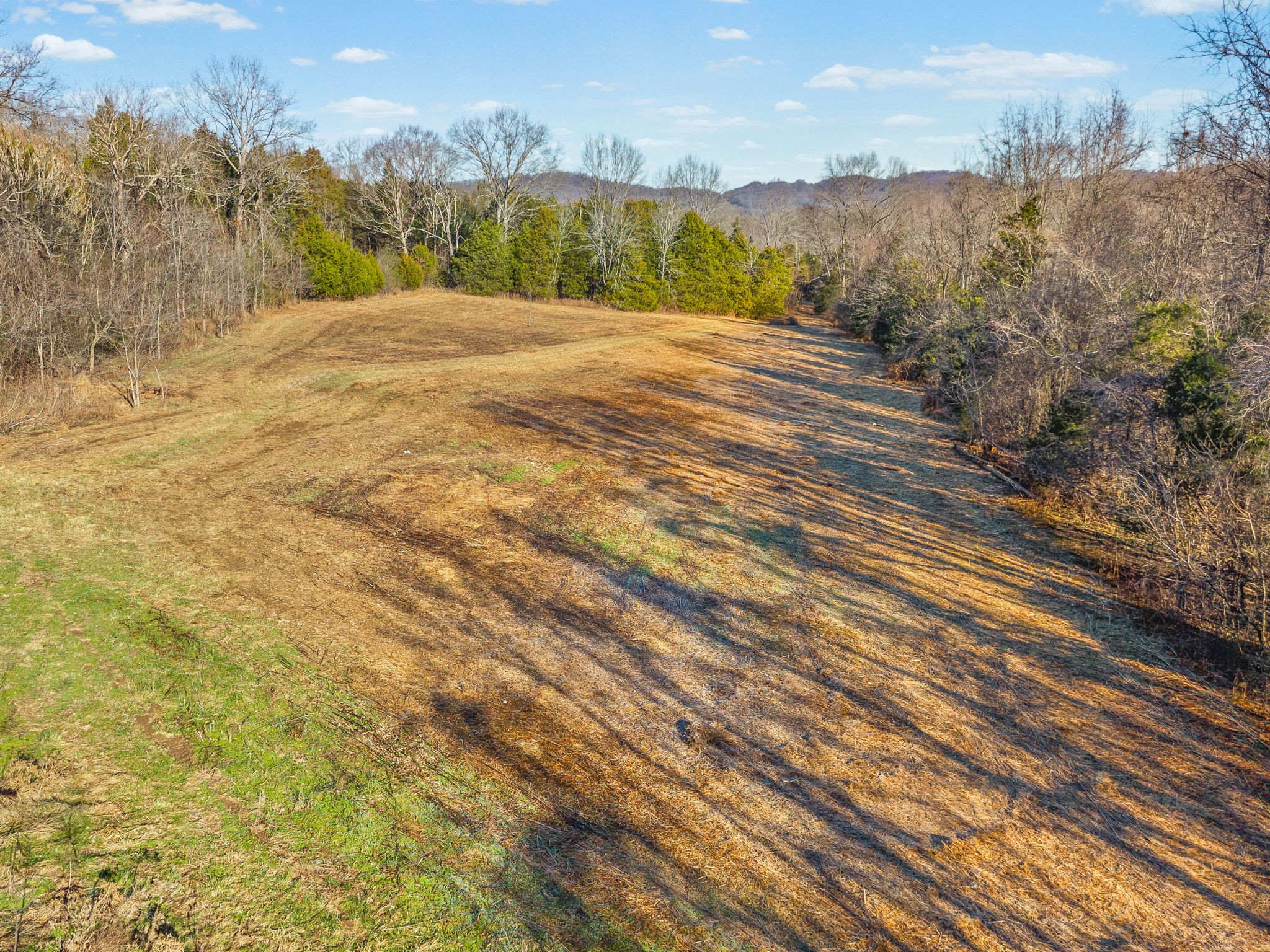 1061 Scott Road Bethpage, TN 37022 - Photo 14 of 32 a view of a dry yard with wooden fence