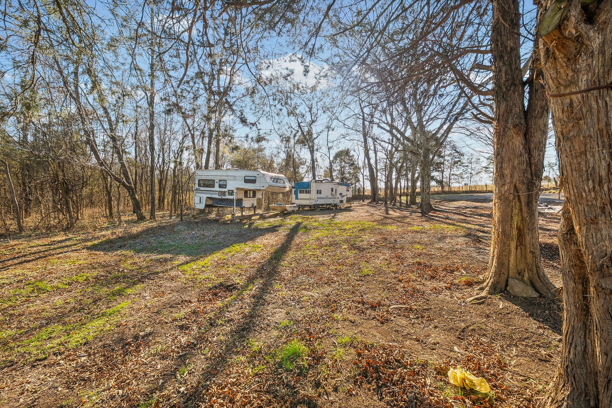 1061 Scott Road Bethpage, TN 37022 - Photo 21 of 32 a view of yard with trees