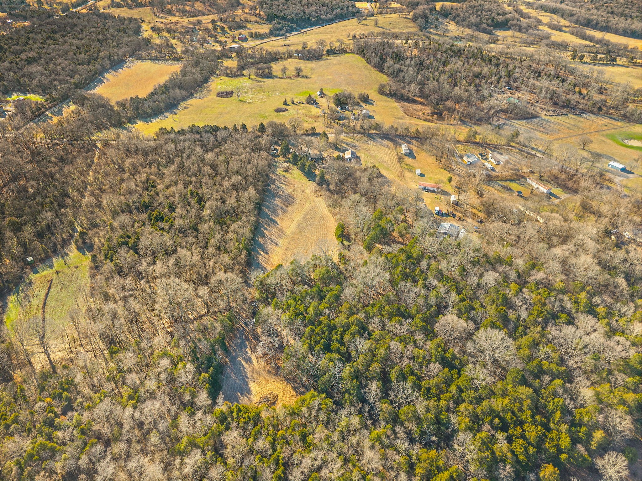 1061 Scott Road Bethpage, TN 37022 - Photo 26 of 32 a view of a yard of the tree