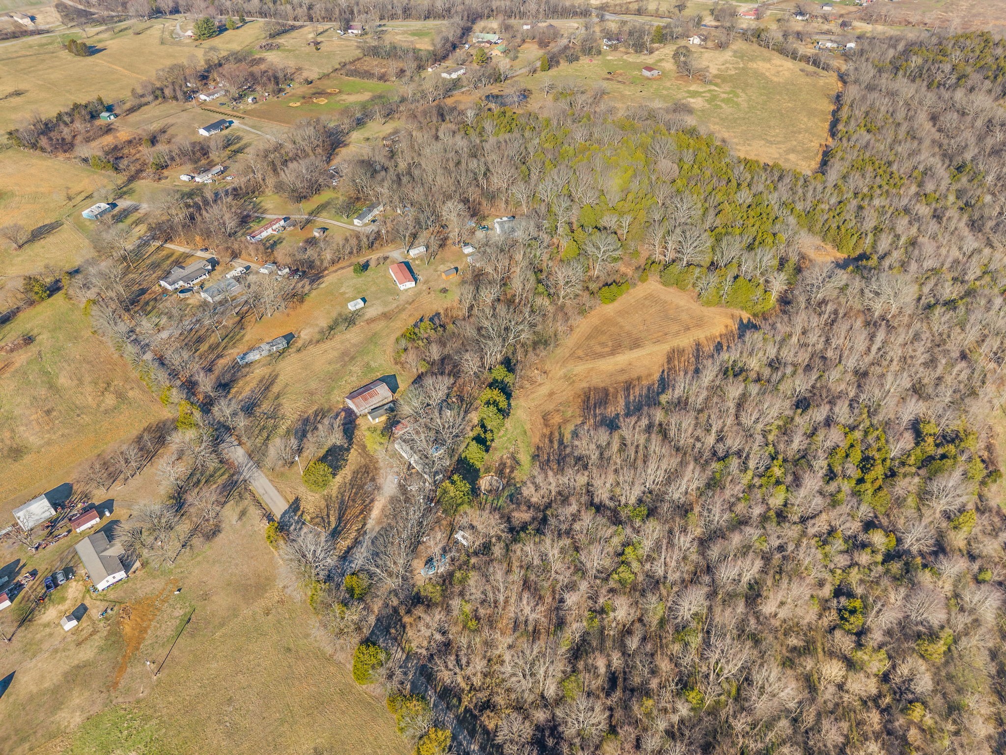 1061 Scott Road Bethpage, TN 37022 - Photo 32 of 32 a picture of a tree