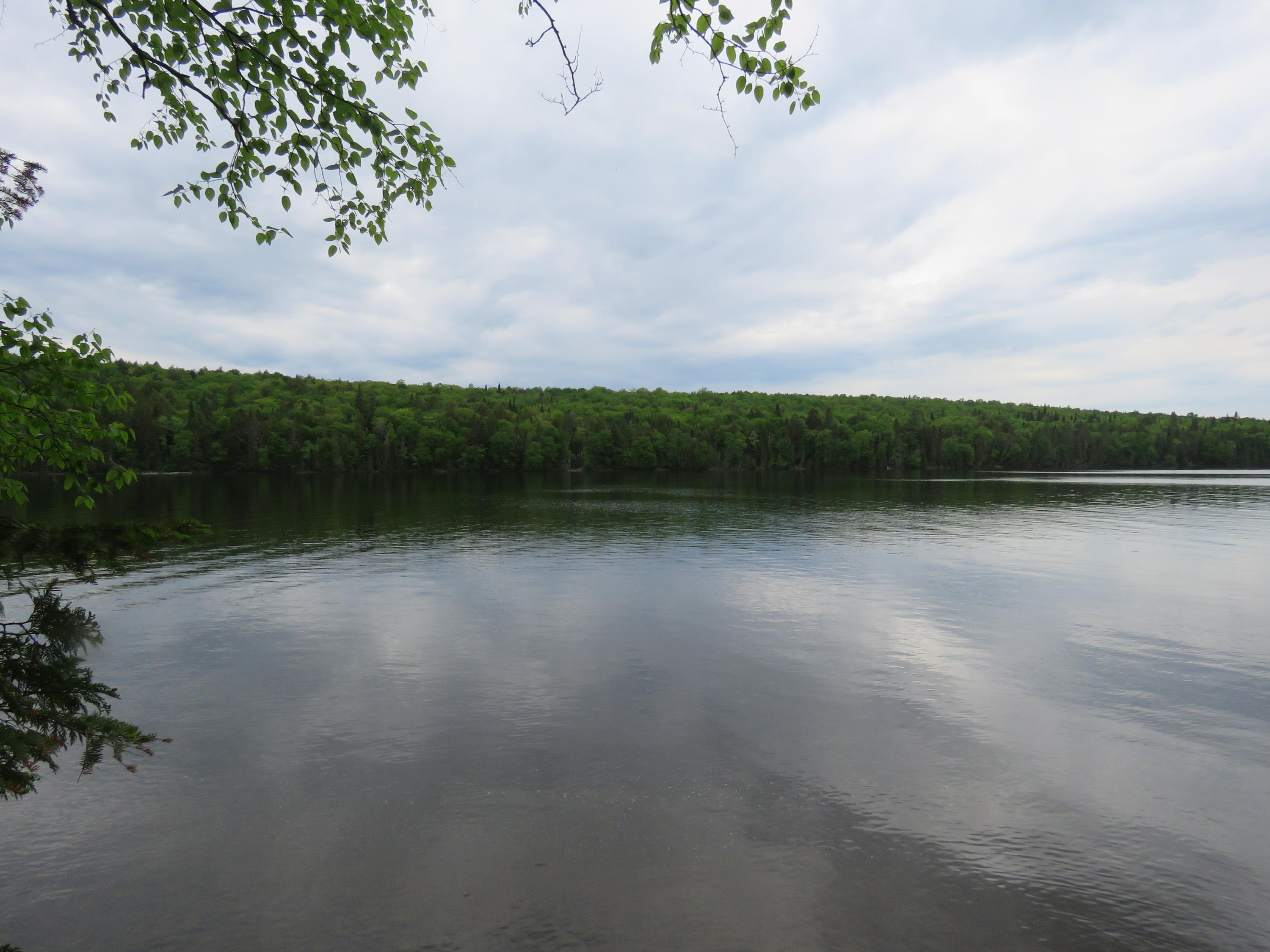 1087 South Shore Road Stockholm, ME 04783 - Photo 5 of 16 IMG_6099