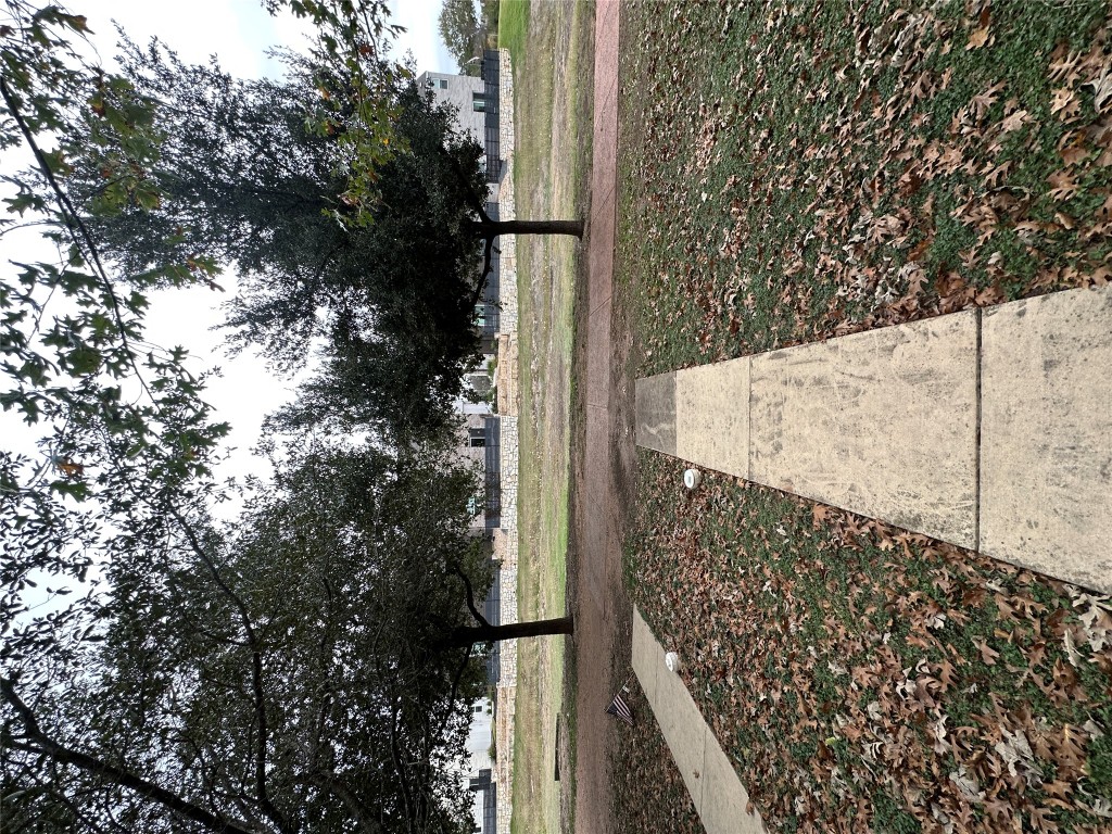 120 B Utterback Kyle, TX 78640 - Photo 2 of 24 a view of park with large trees