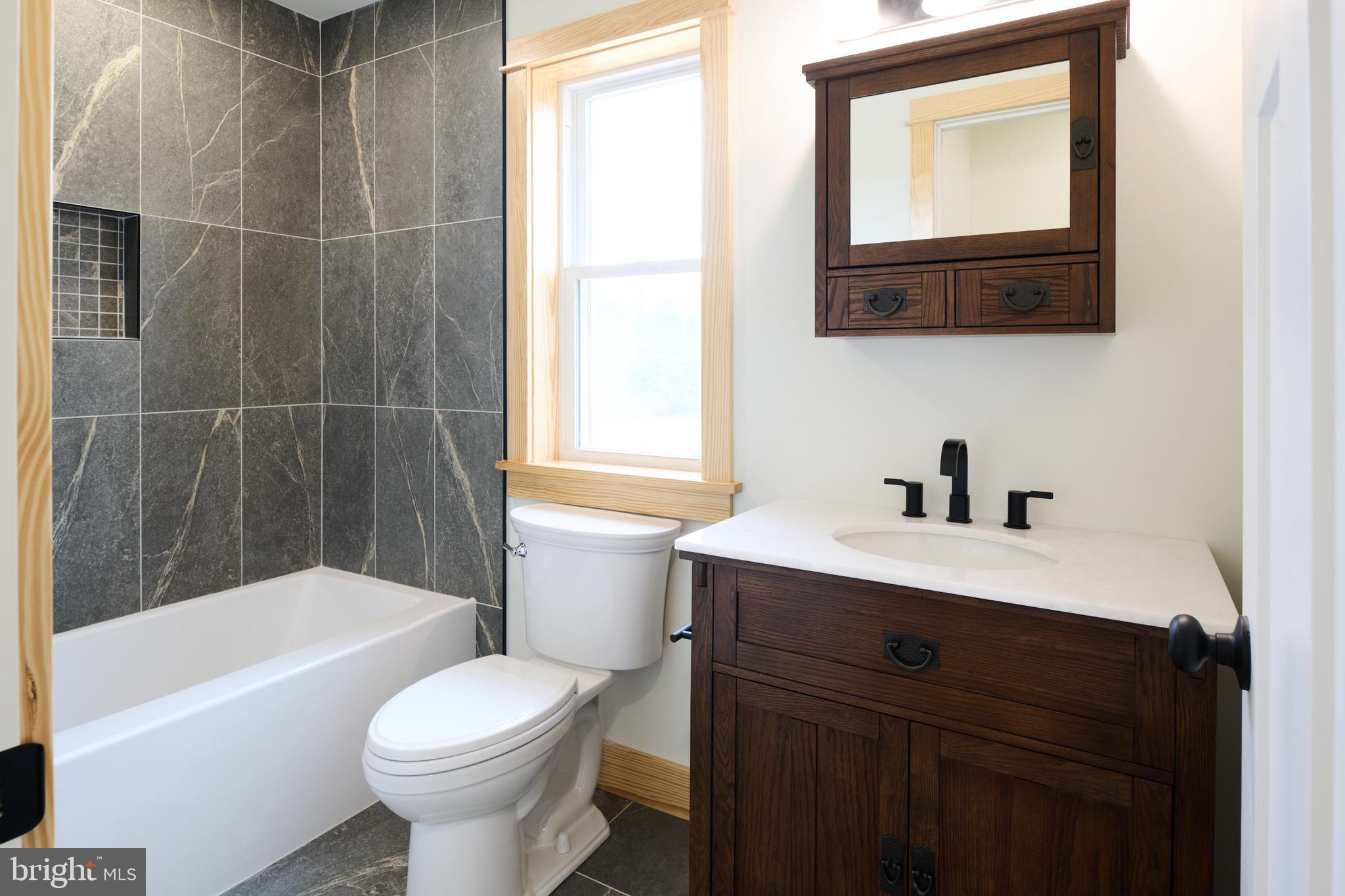 129 Lower Georges Valley Road Spring Mills, PA 16875 - Photo 37 of 61 a bathroom with a sink toilet a mirror and bathtub