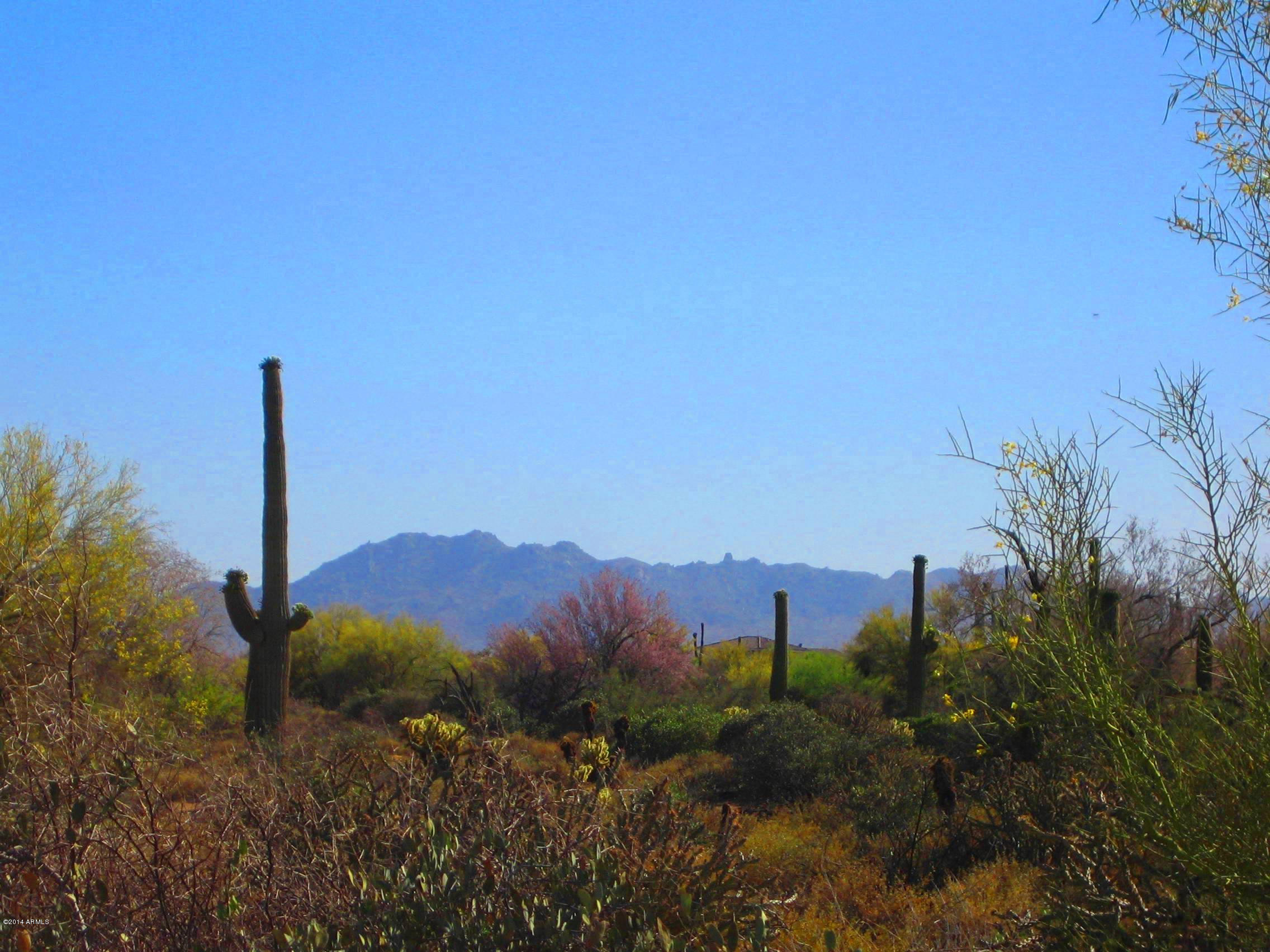 31300 North 173rd Place Rio Verde, AZ 85263 - Photo 40 of 40 Views of the McDowell Mts.