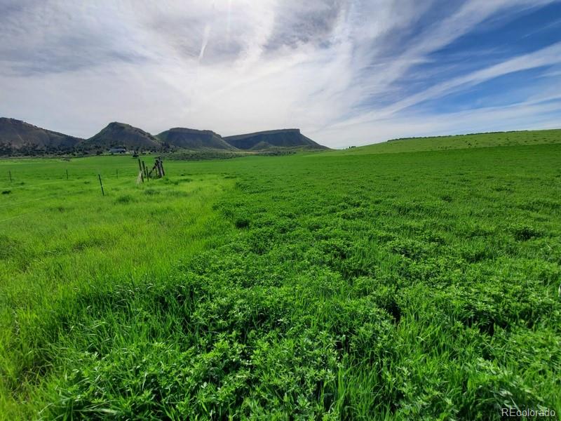a view of a field with a tree in the background