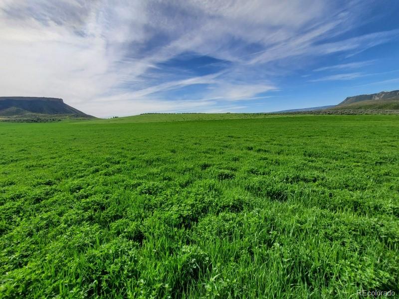 45 County Road Hamilton, CO 81638 - Photo 6 of 11 a view of a green field with mountains in the background