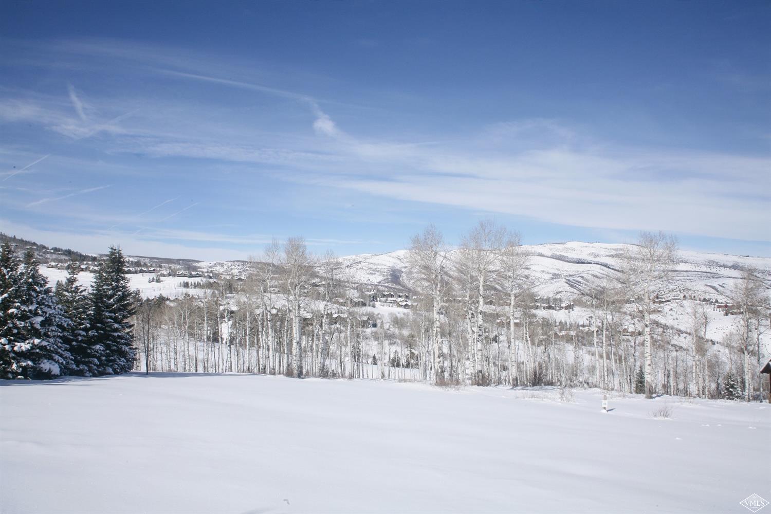 121 Aspen Meadows Road Edwards, CO 81632 - Photo 1 of 4 Primary Photo