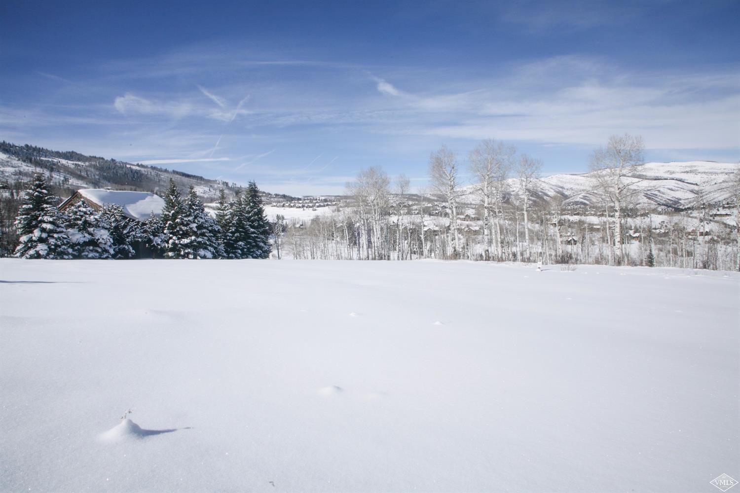 121 Aspen Meadows Road Edwards, CO 81632 - Photo 2 of 4 Additional Photo
