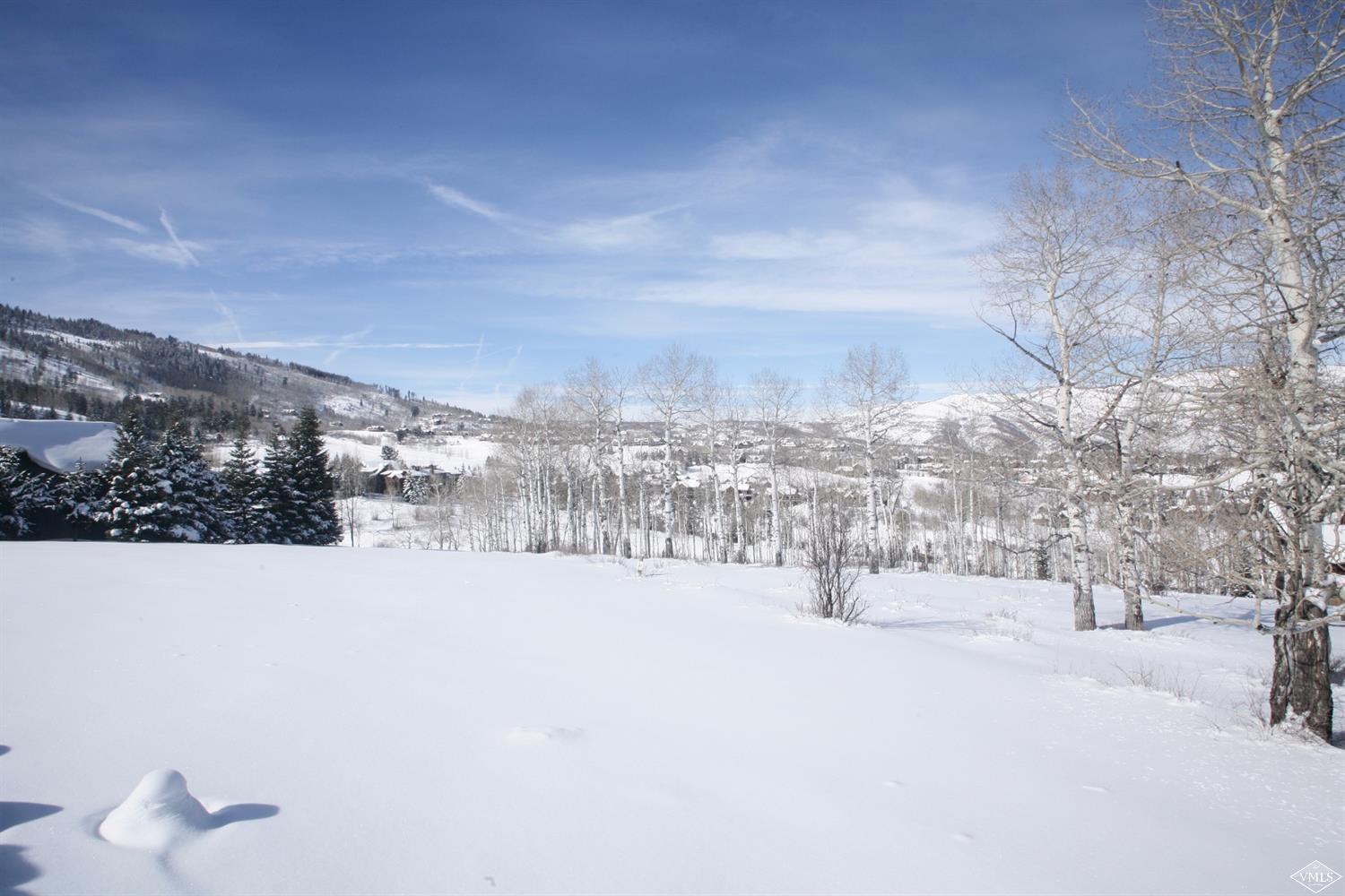 121 Aspen Meadows Road Edwards, CO 81632 - Photo 4 of 4 Additional Photo