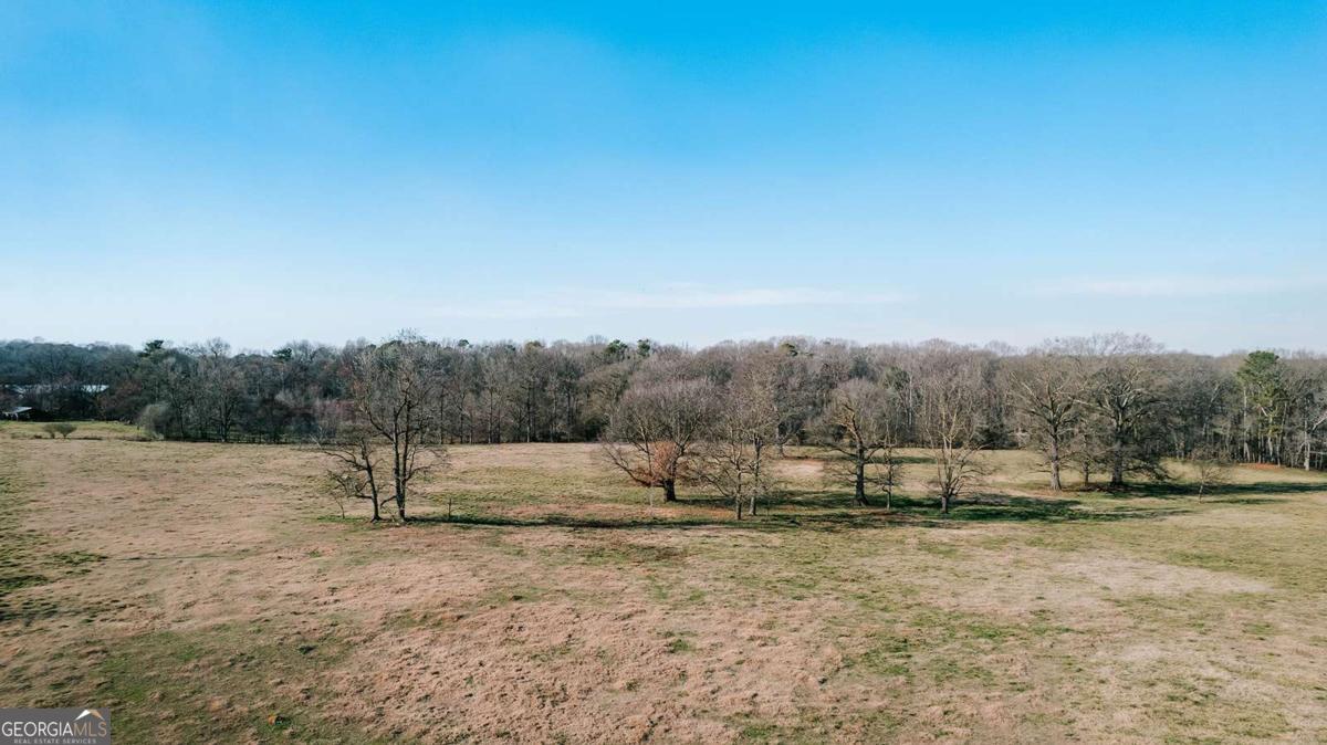 0 Ralph Bridges Road Lexington, GA 30648 - Photo 19 of 31