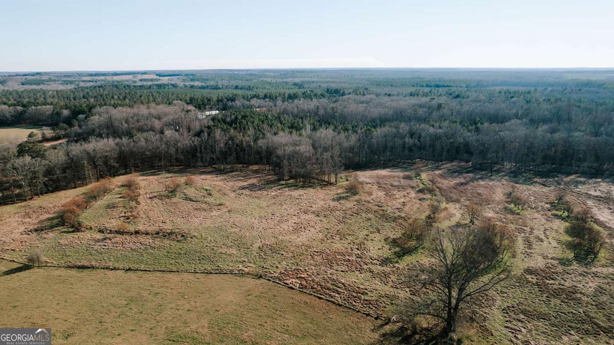0 Ralph Bridges Road Lexington, GA 30648 - Photo 26 of 31