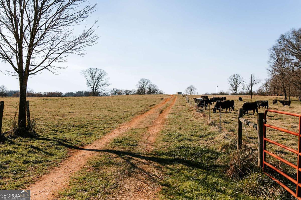 0 Ralph Bridges Road Lexington, GA 30648 - Photo 9 of 31