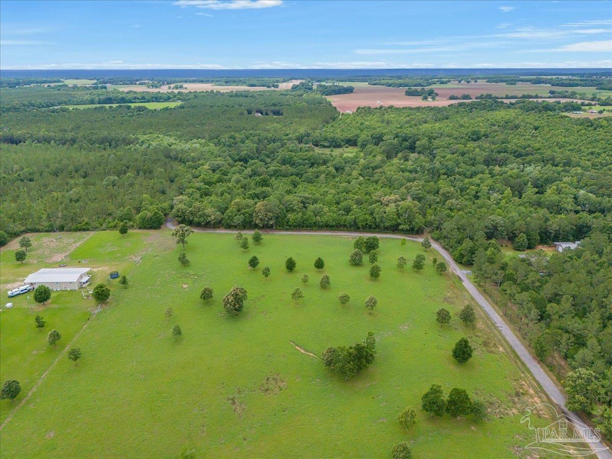 0 Dunsford Road Jay, FL 32565 - Photo 15 of 22