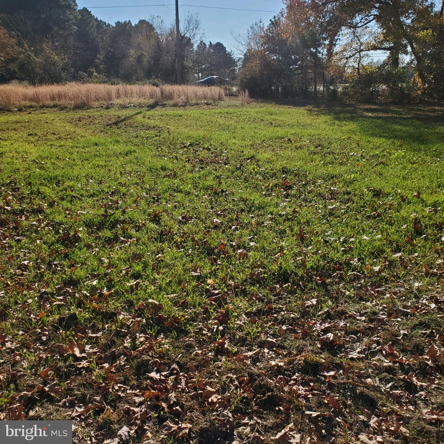343 N/s Md Rt Cambridge, MD 21613 - Photo 2 of 4 Gallery Image 2