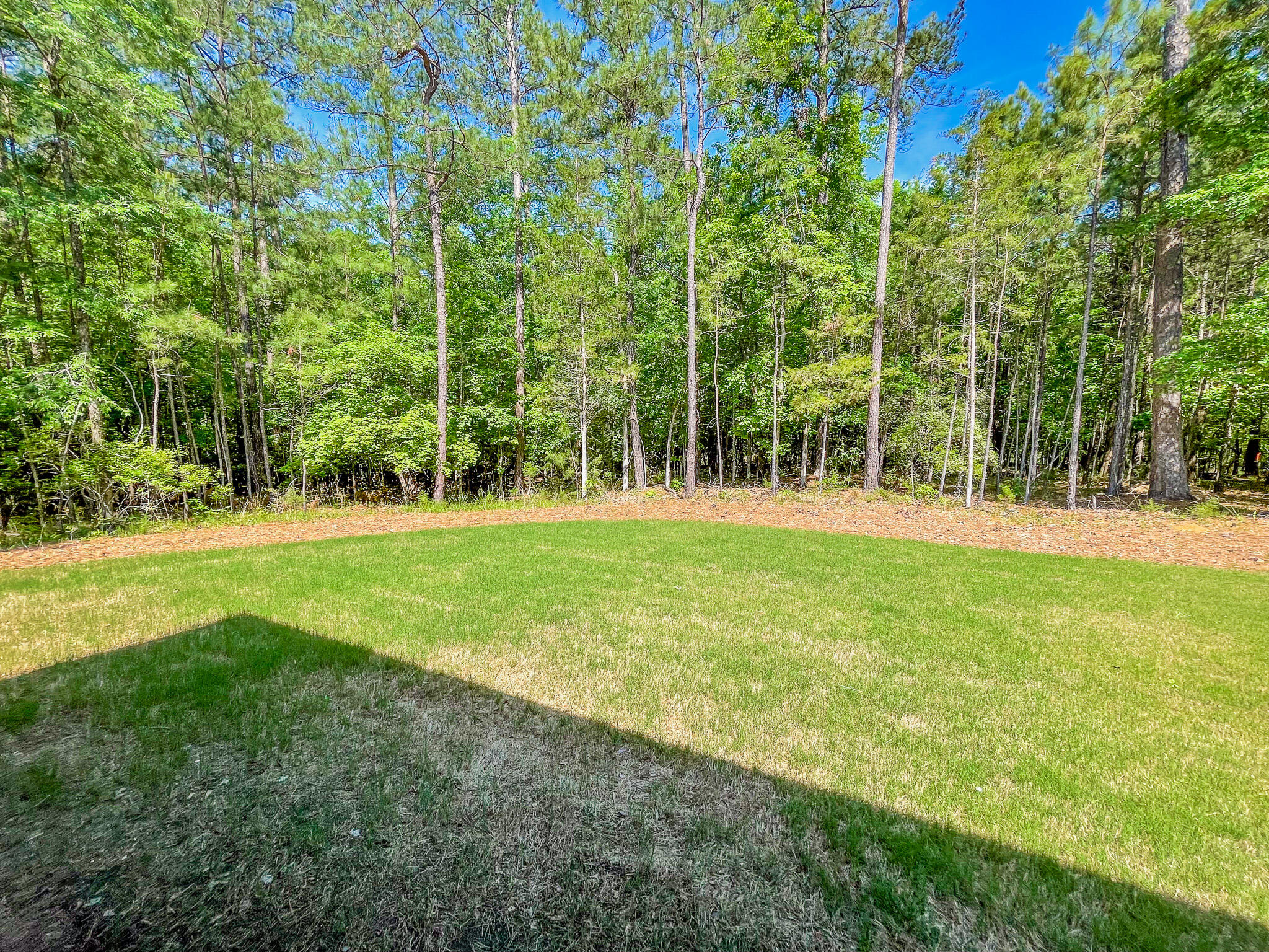 217 Cove Point Lane McCormick, SC 29835 - Photo 44 of 46 IMG_5108