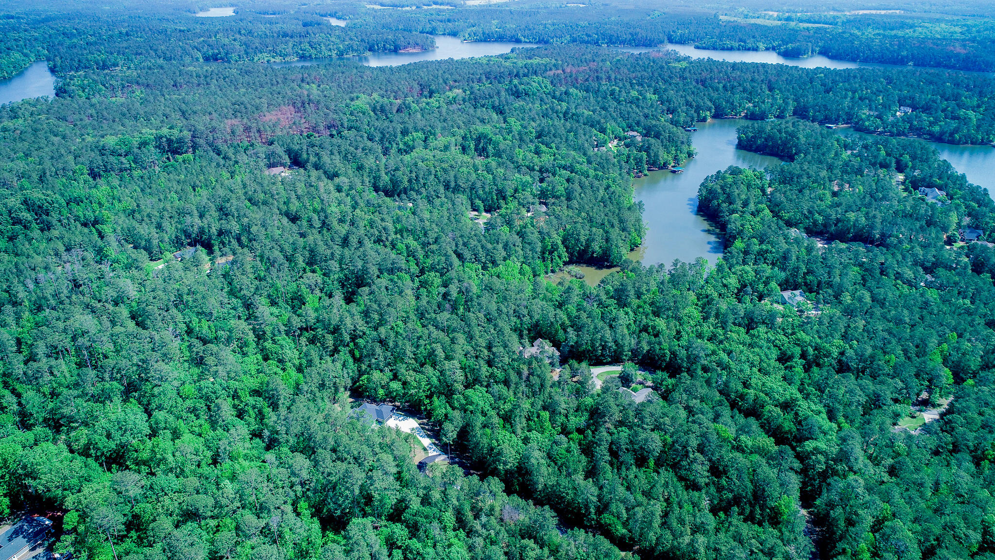 217 Cove Point Lane McCormick, SC 29835 - Photo 8 of 46 DJI_0208