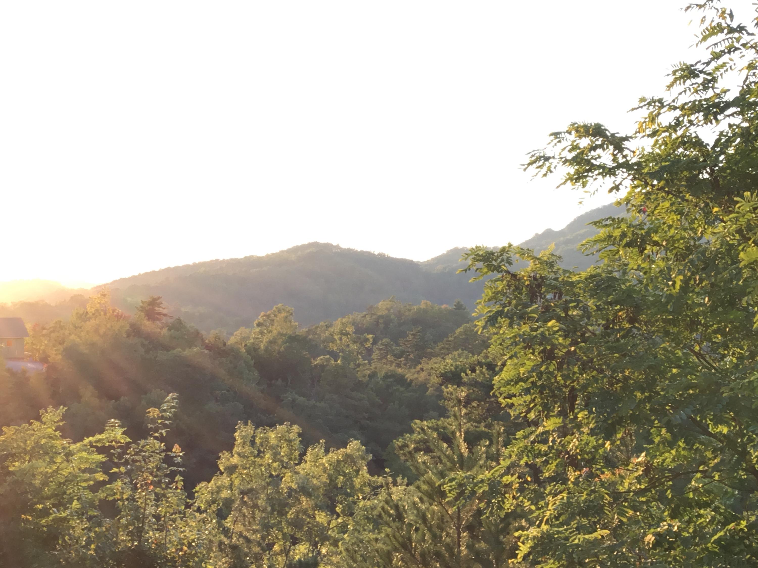 Grouse Ridge Lane Lane Sevierville, TN 37862 - Photo 3 of 15 IMG-0852