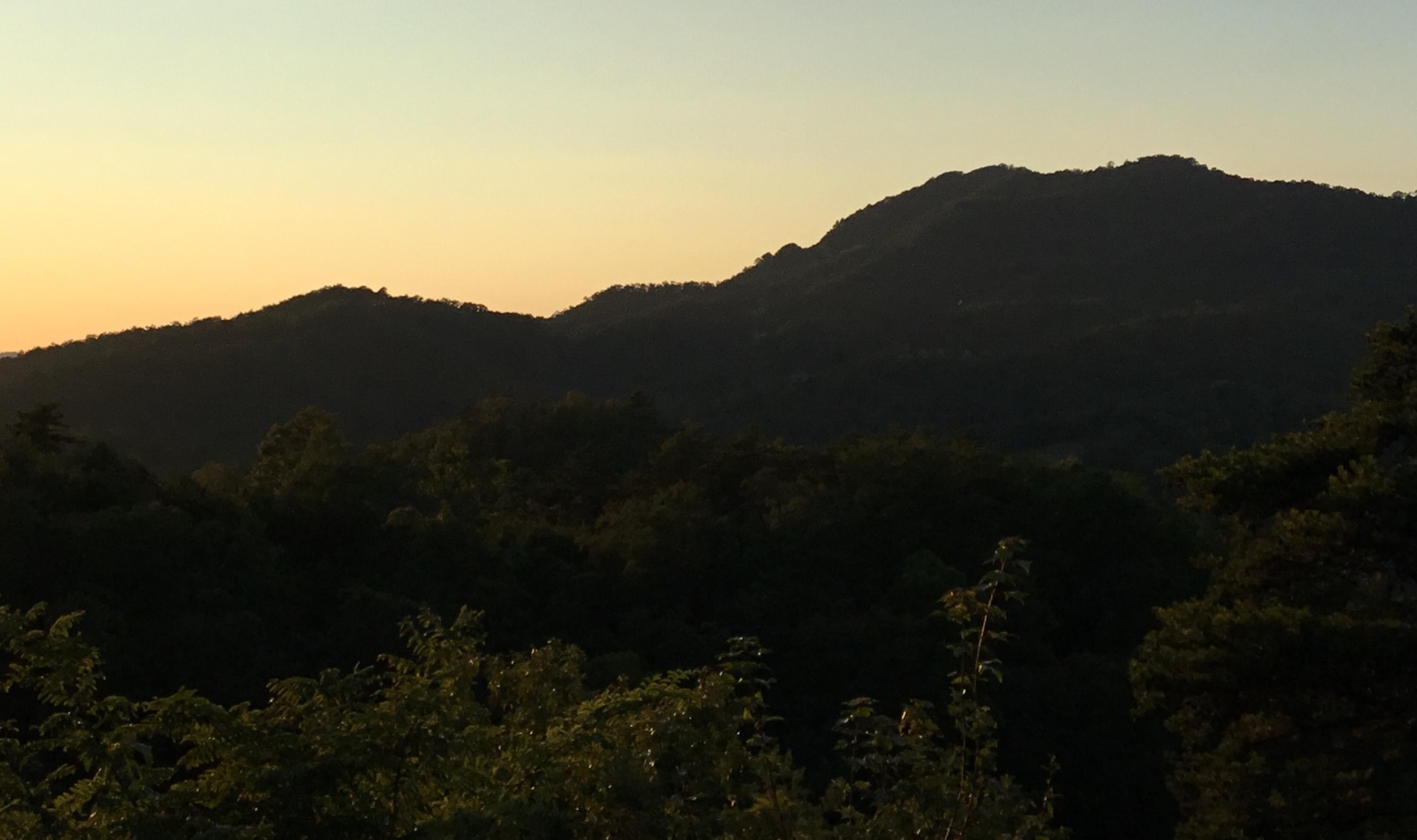 Grouse Ridge Lane Lane Sevierville, TN 37862 - Photo 5 of 15 IMG-0855