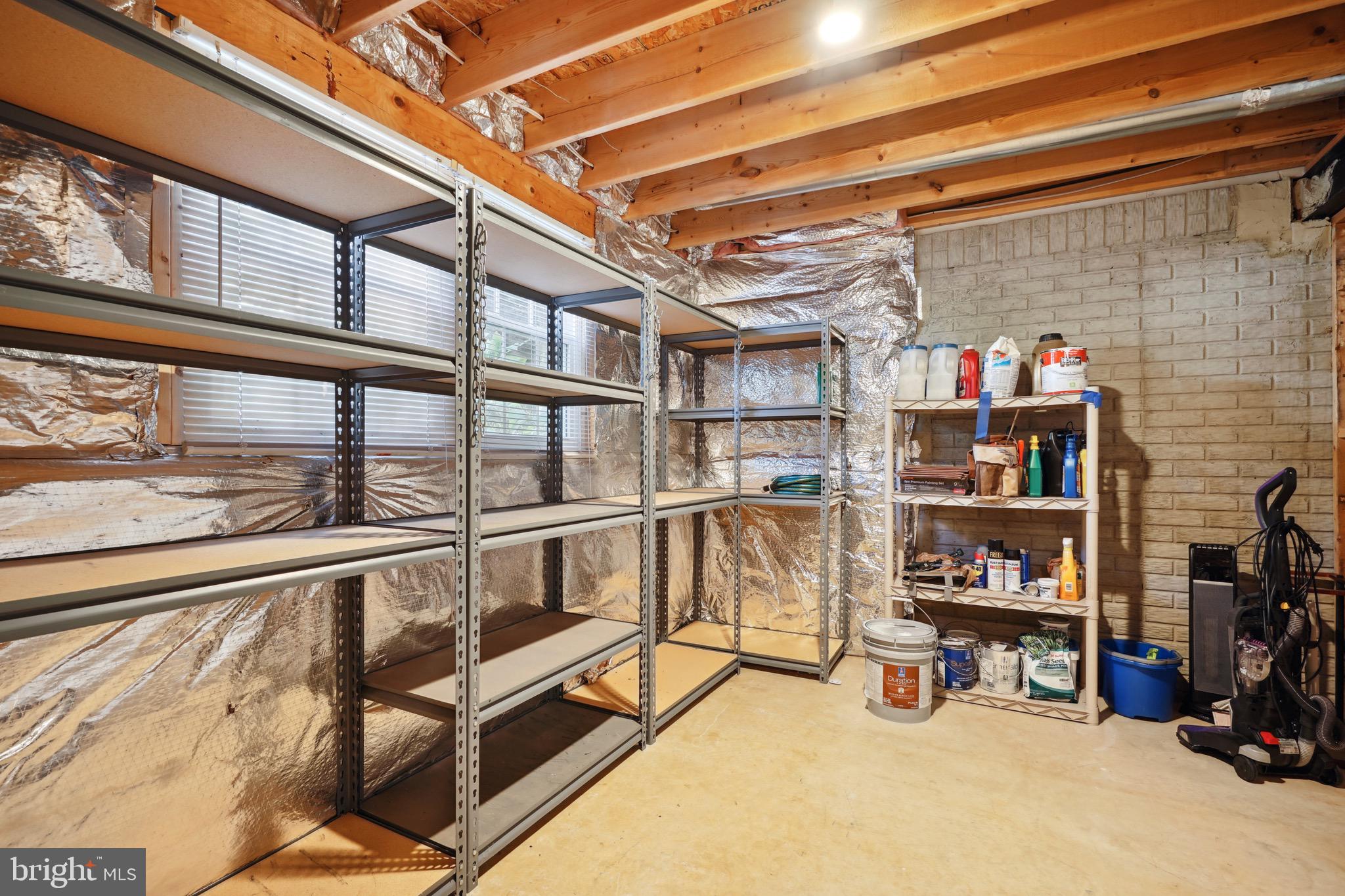 7728 Effingham Square Alexandria, VA 22315 - Photo 27 of 34 Lower Level Storage with Shelves