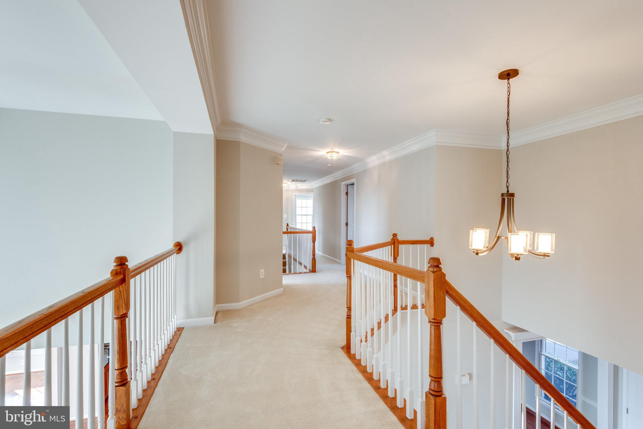 43549 Lucketts Bridge Circle Ashburn, VA 20148 - Photo 33 of 88