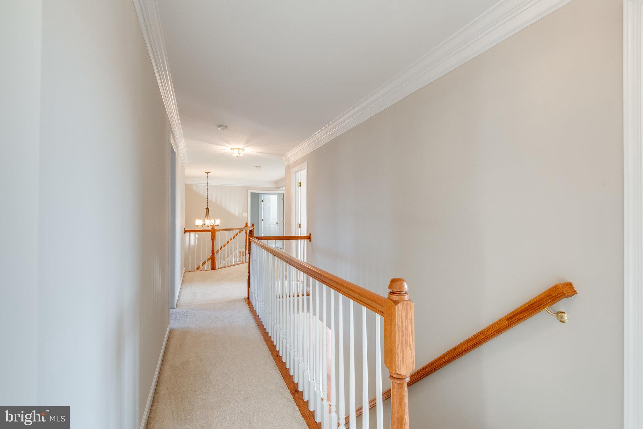 43549 Lucketts Bridge Circle Ashburn, VA 20148 - Photo 34 of 88