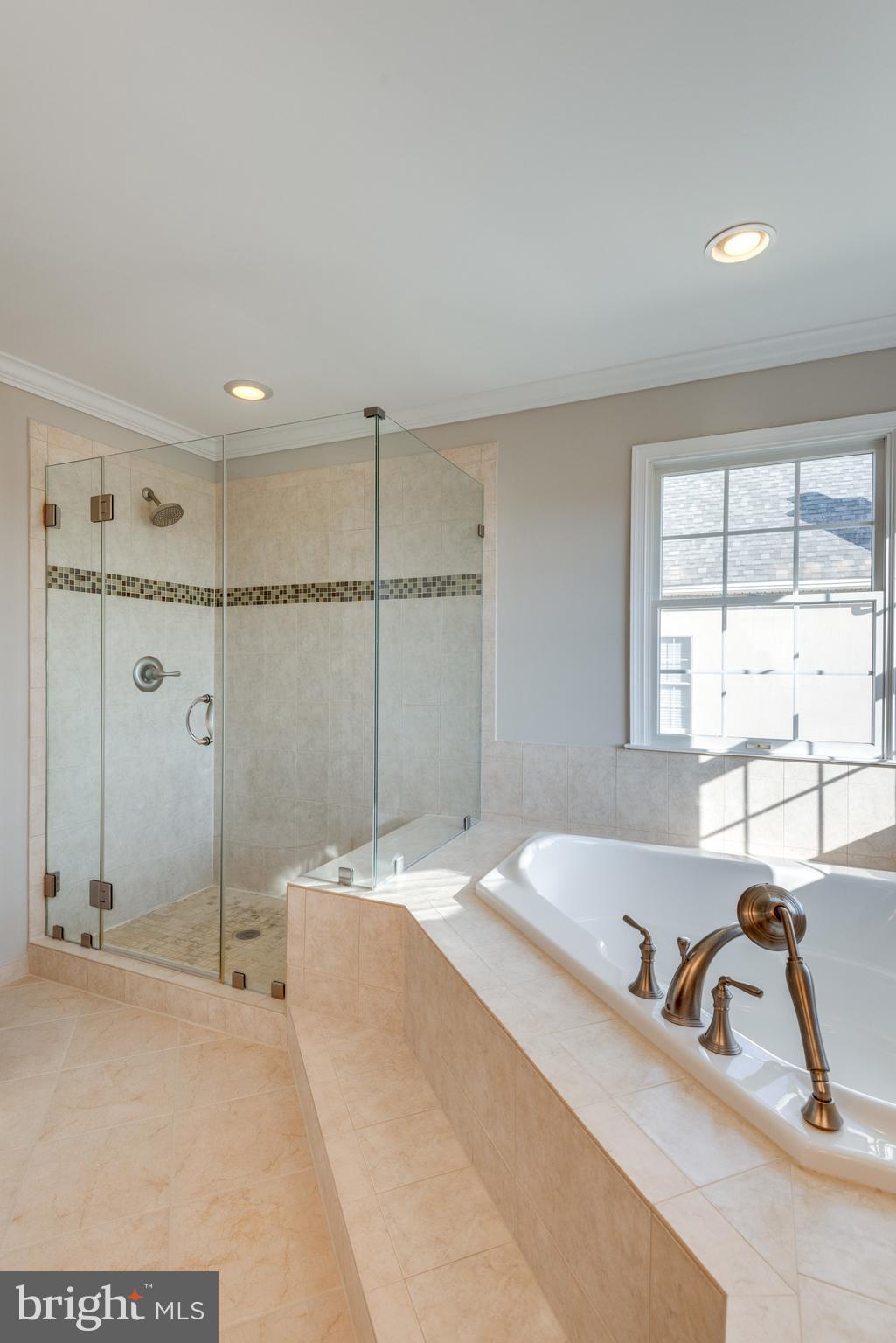 43549 Lucketts Bridge Circle Ashburn, VA 20148 - Photo 41 of 88