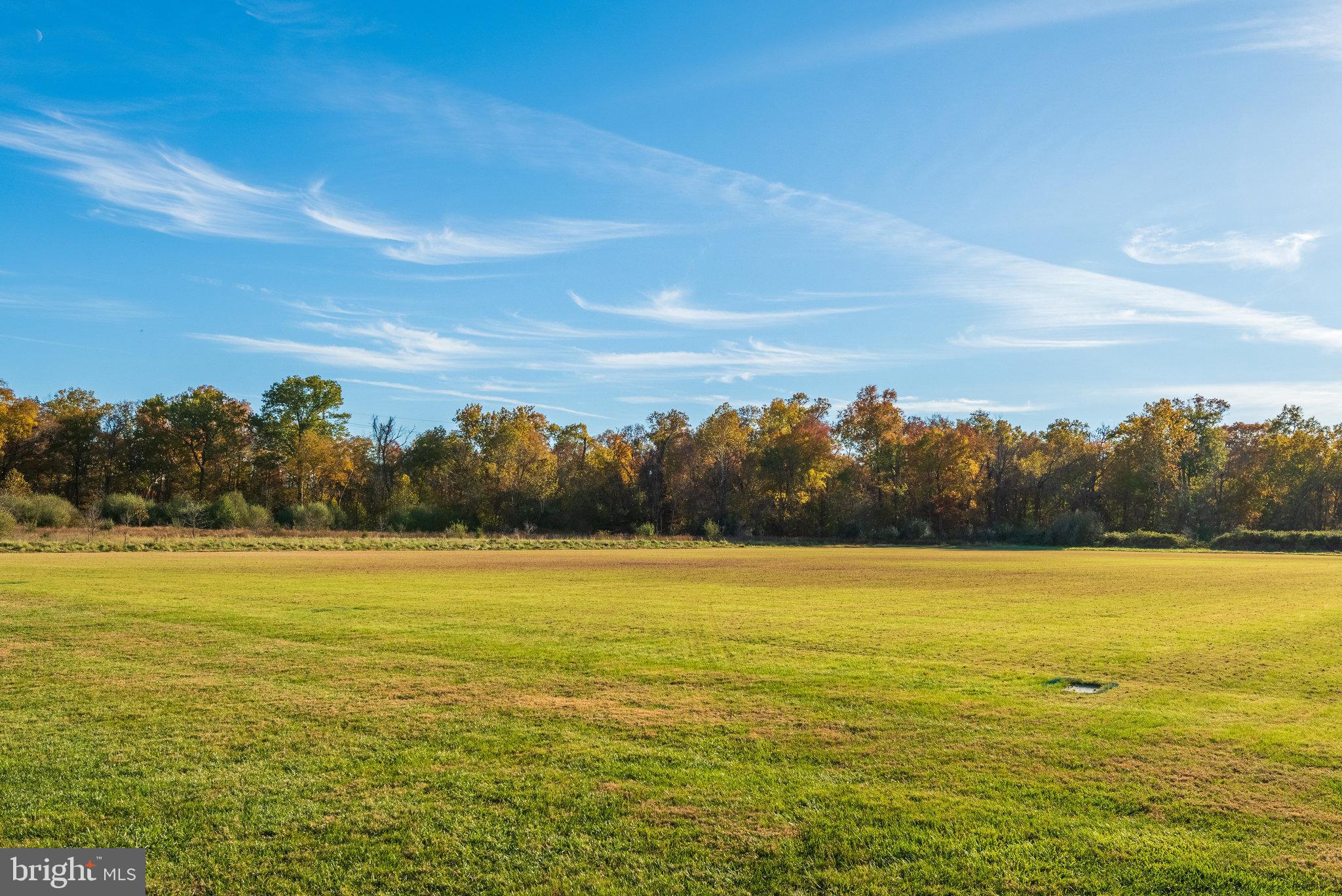 43549 Lucketts Bridge Circle Ashburn, VA 20148 - Photo 85 of 88