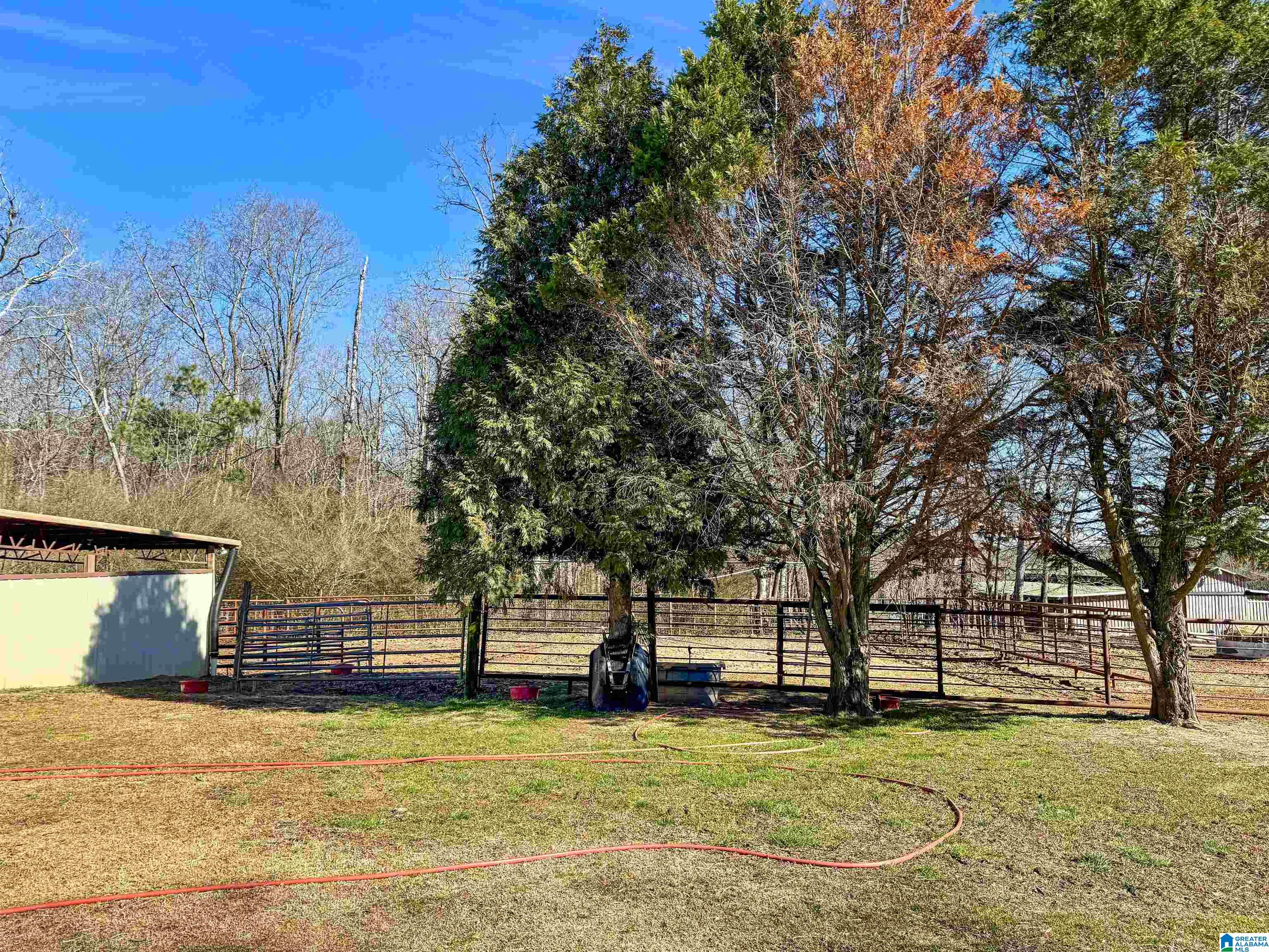 80 County Road 624 Ranburne, AL 36273 - Photo 44 of 49