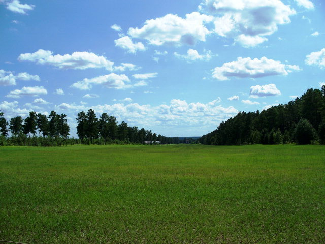 Lot 10 Burkelo Road Wagener, SC 29164 - Photo 5 of 18